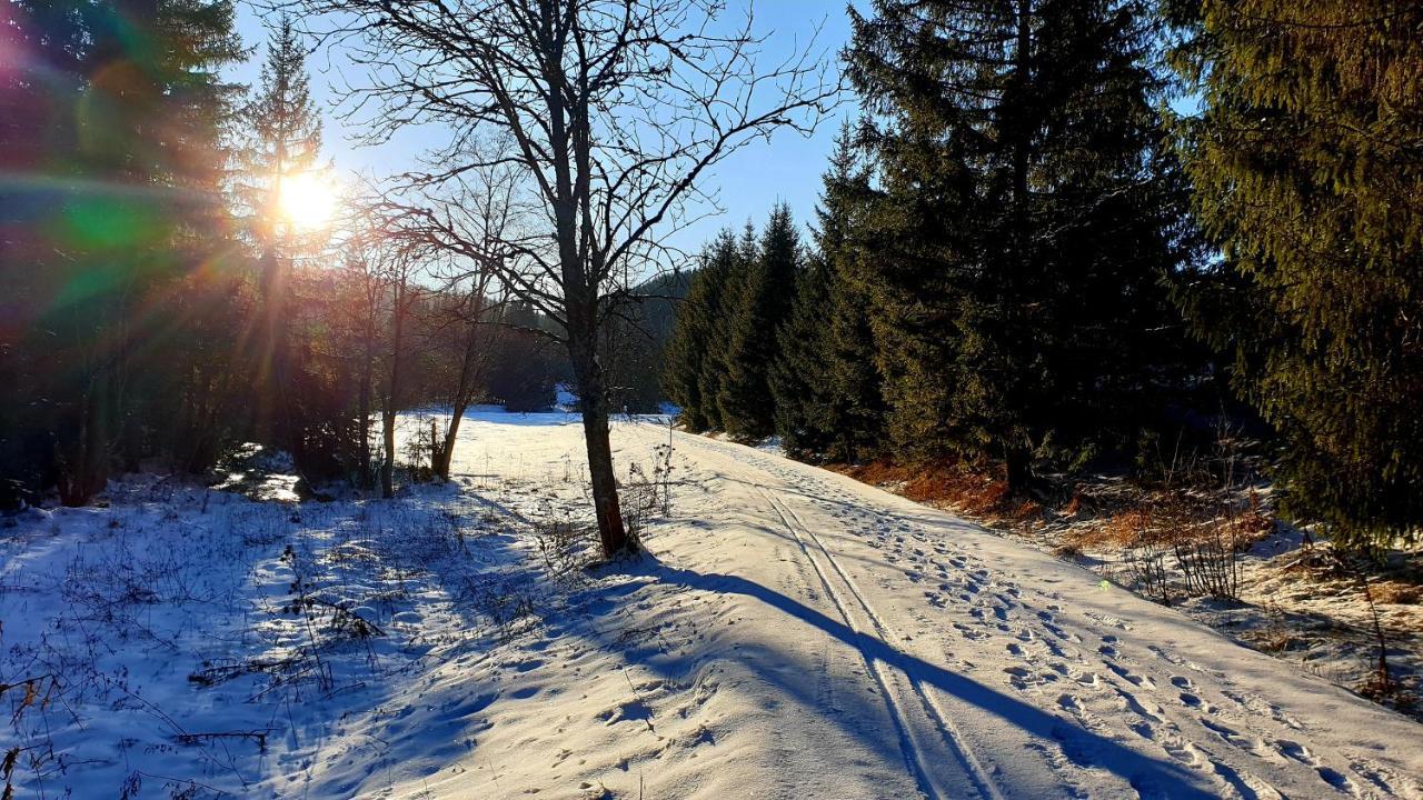 Apartmany Mlynky - Slovensky Raj Exteriör bild